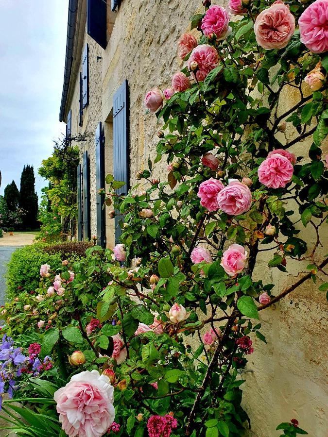 Le Clos De L'Amiral Preguillac エクステリア 写真